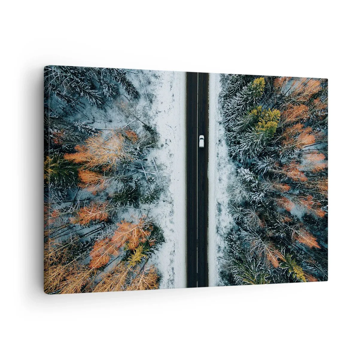 Obraz na plátne - Cesta cez zimný les z vtáčej perspektívy - 70x50cm - Cez zimný les - Moderná nástenná dekorácia do obývacej izby a spálne ARTTOR