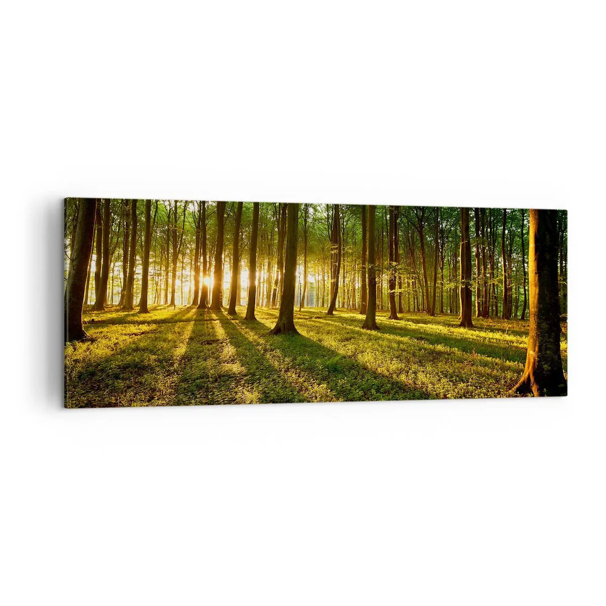 Obraz na plátne - Fotografie všetkých jarí - 140x50 cm