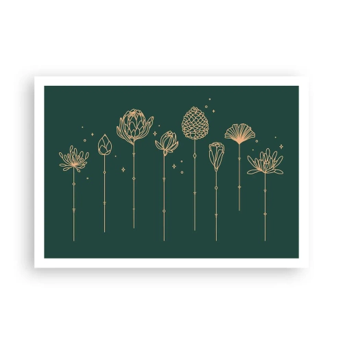 Plagát - Bylinky - 100x70 cm