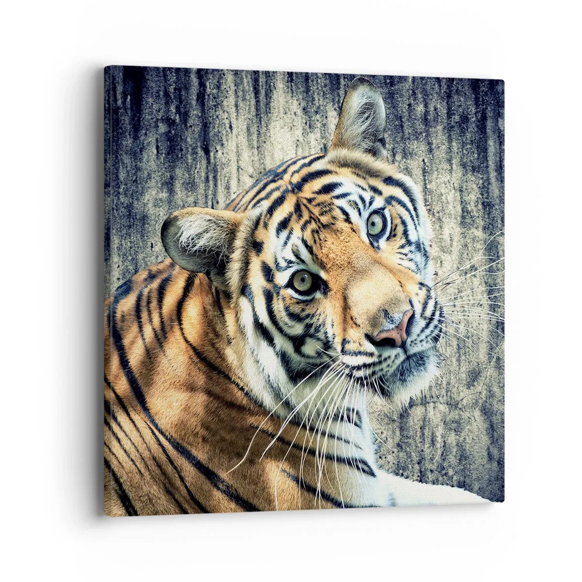 Obraz na plátne - Portrét v prameňoch svetla - 40x40 cm