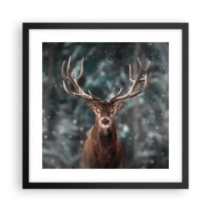 Plagát v čiernom ráme - Skutočný kráľ lesa - 40x40 cm