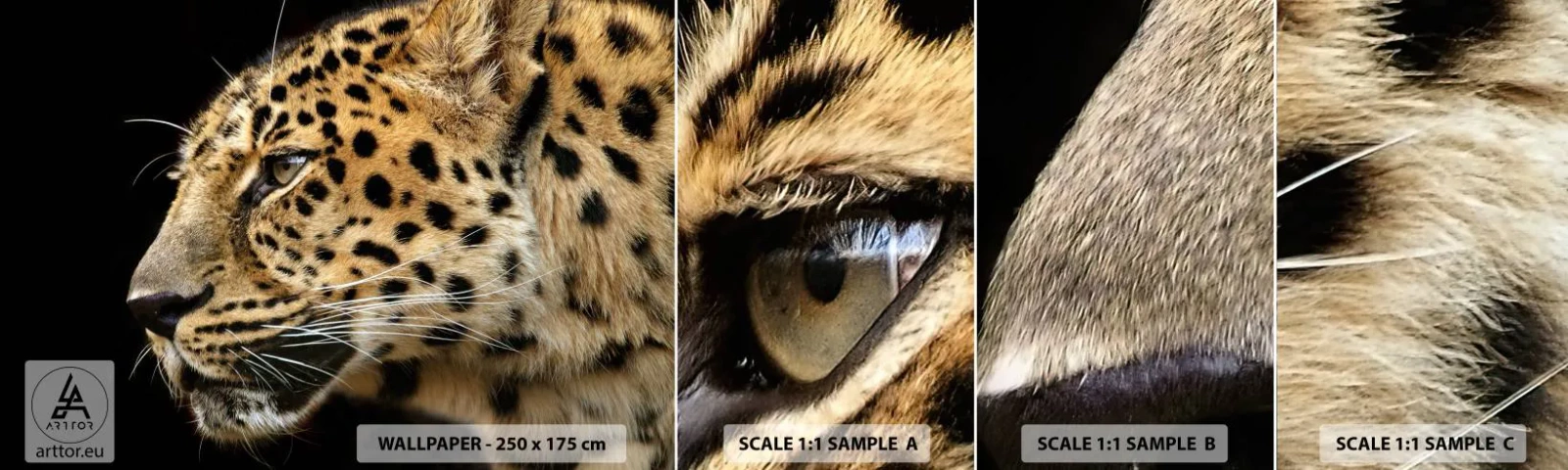 Vzorka Fototapeta Standard Eco - Pokojný, sústredený, pripravený - Zvieratá, leopard, Afriky - 100x30 cm