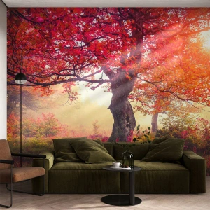 Fototapeta Premium Canvas - Šialenstvo rozkvetu - Krajina, Park, Kvety - 200x140 cm