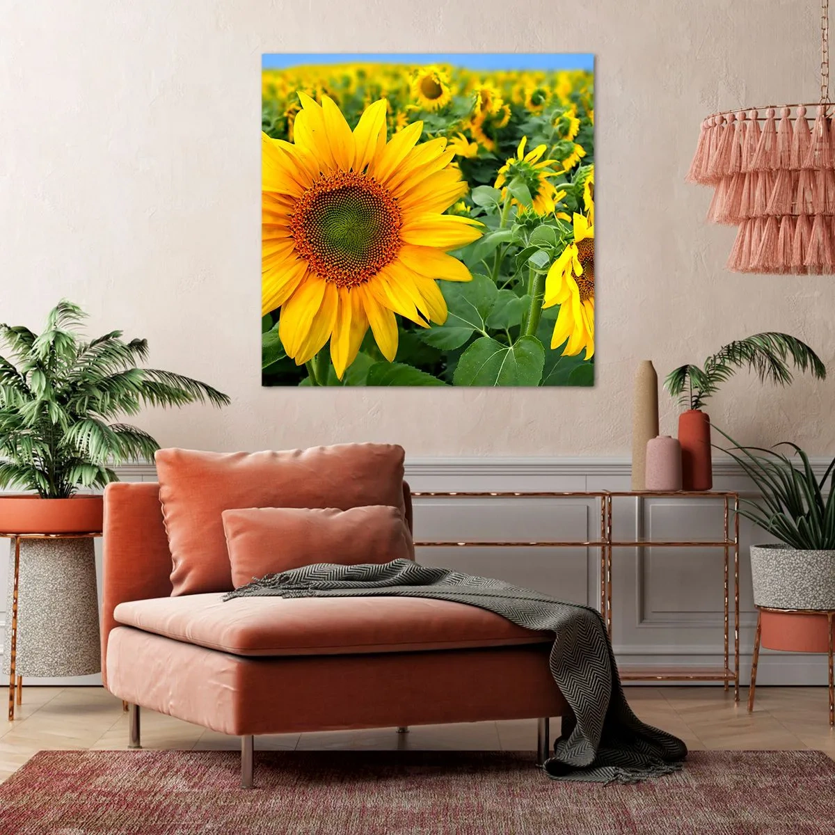 Obraz na plátne - Zahoreli stovky sĺnk - 60x60 cm