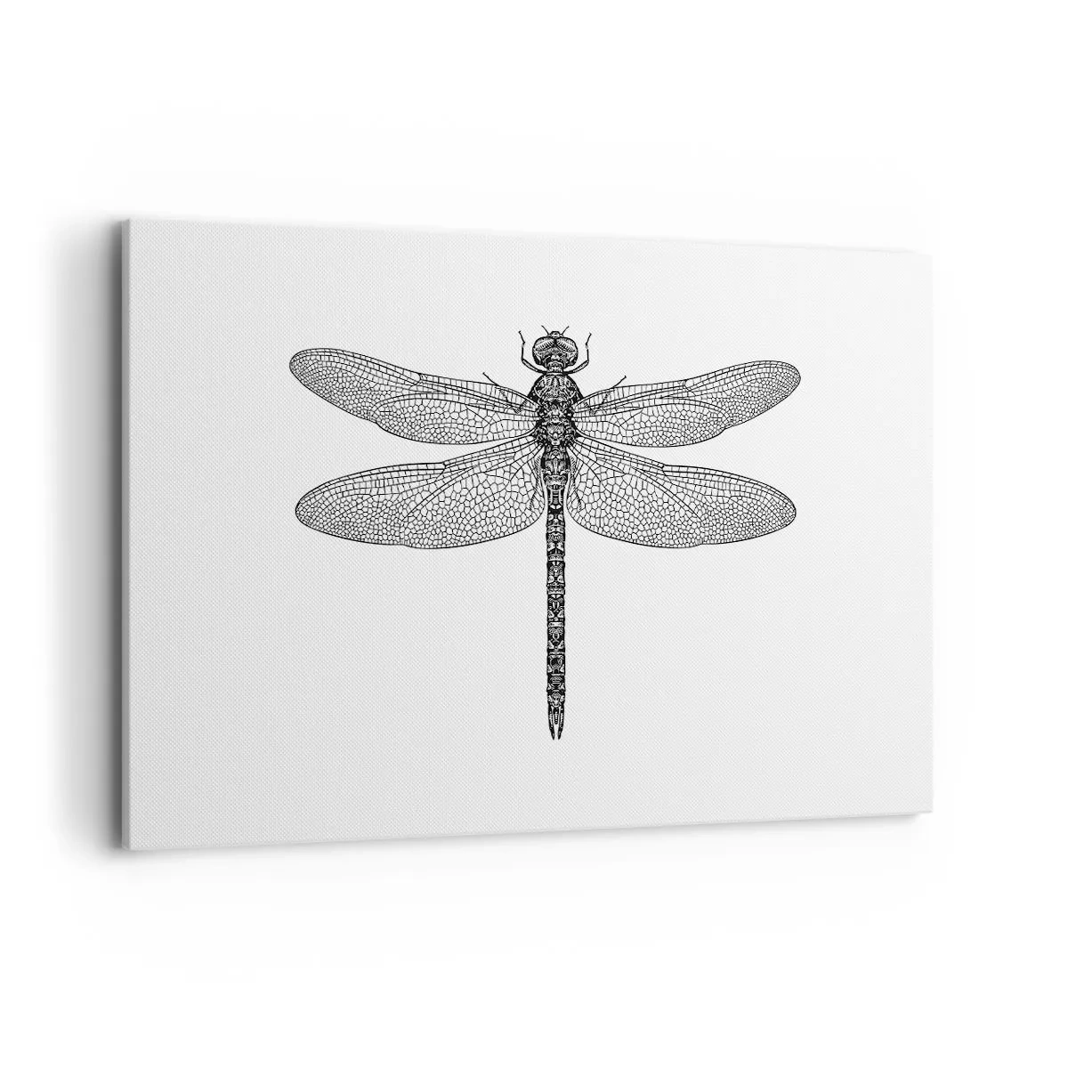 Obraz na plátne - Presnosť prírody - 120x80 cm