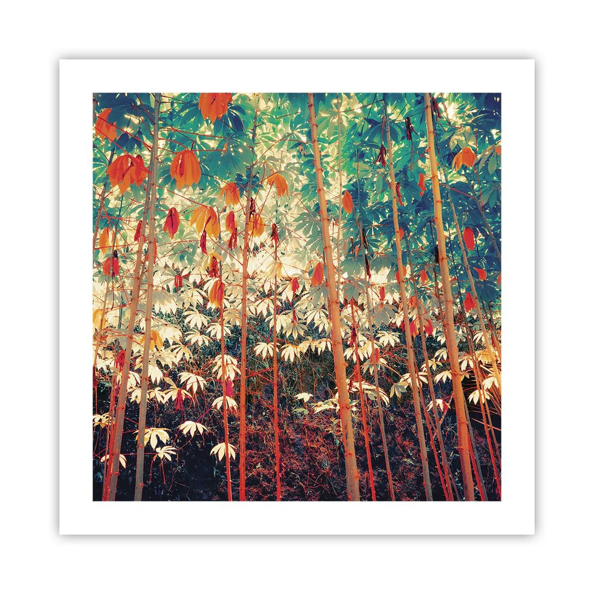 Plagát - Tajný život listov - 50x50 cm