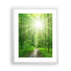 Plagát v bielom ráme - Zelená katedrála - 40x50 cm