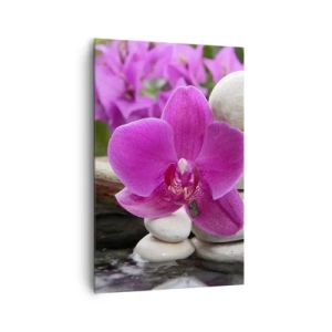 Obraz na plátne - Už odpočívaš - 80x120 cm