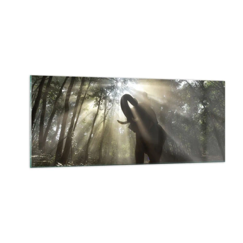 Obraz na skle - Pod šťastnou hviezdou - 100x40 cm