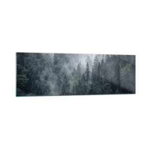 Obraz na skle - Lesné svitania - 160x50 cm