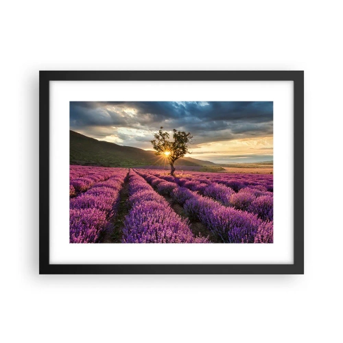 Plagát v čiernom ráme - Aróma vo fialovej - 40x30 cm