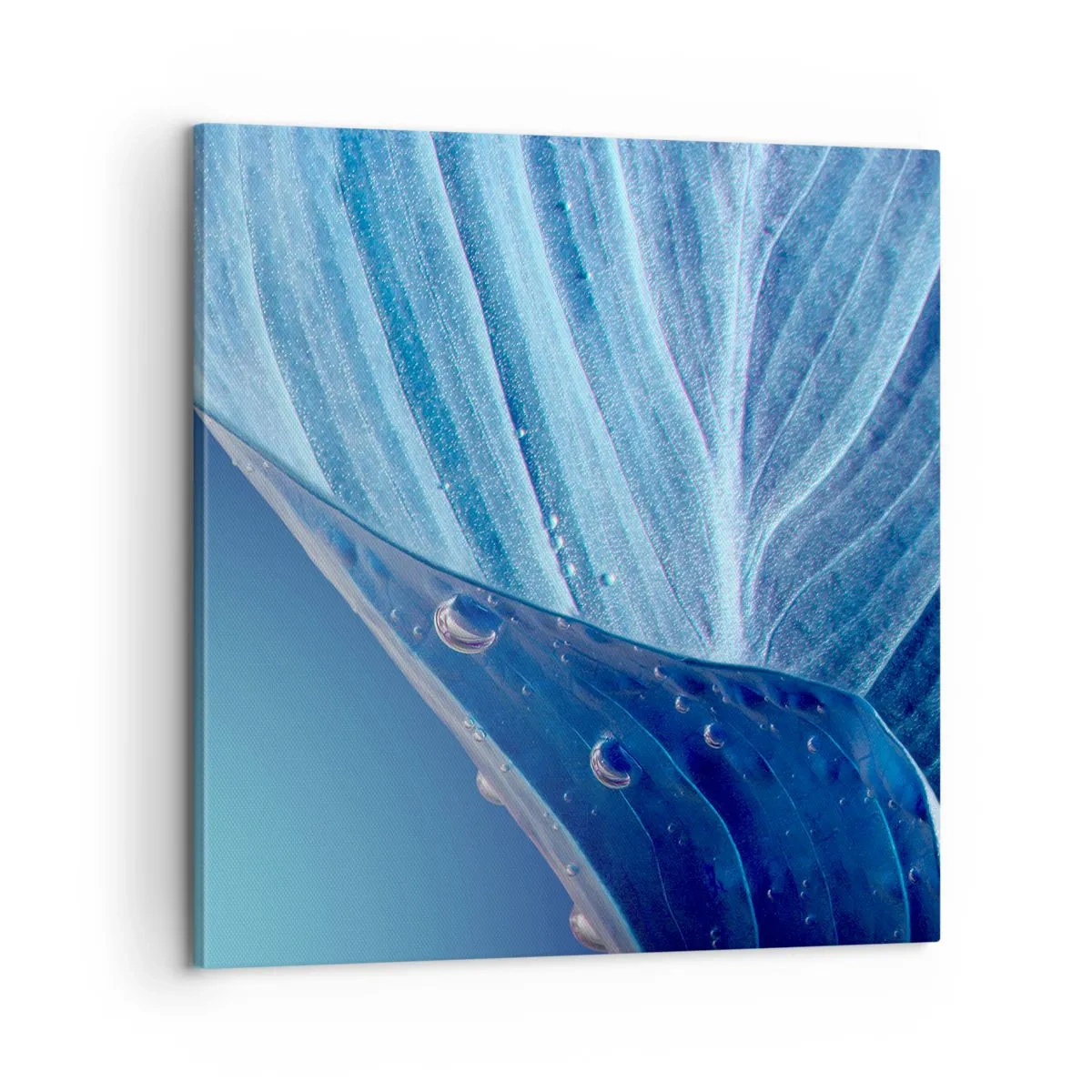 Obraz na plátne - Skryté kvapky modrej - 60x60 cm
