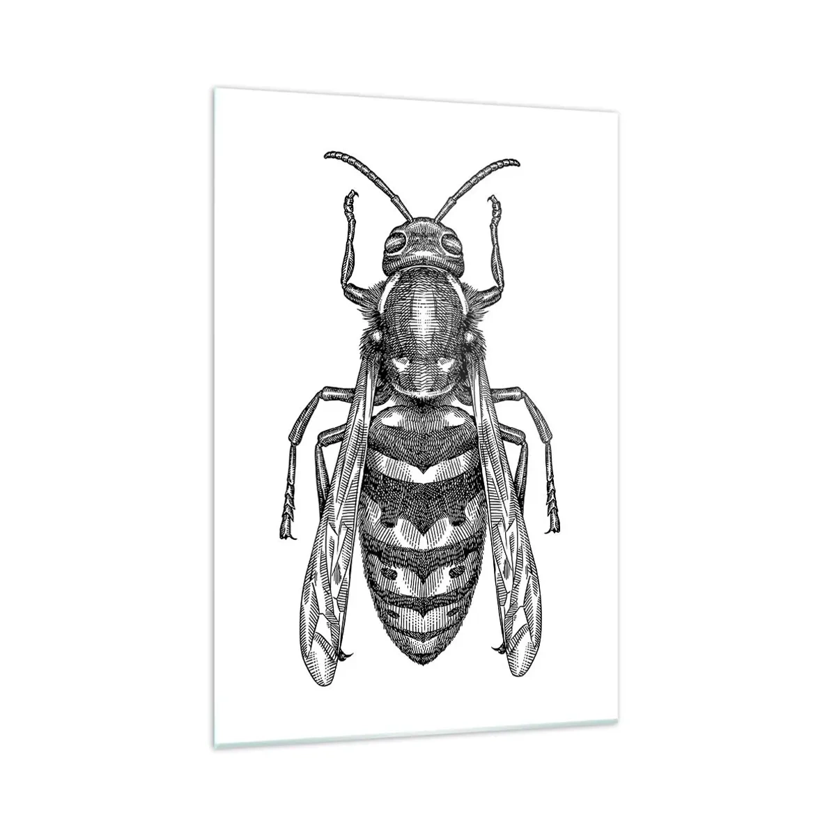 Obraz na skle - Z hmyzej planéty - 70x100 cm