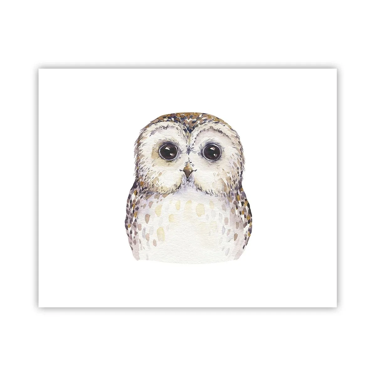 Plagát - Pozri sa mi do očí - 50x40 cm