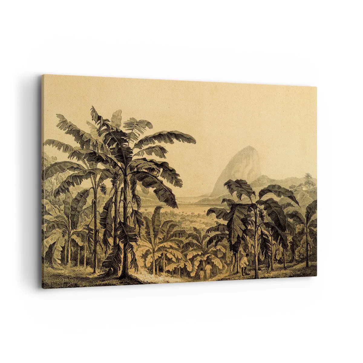 Obraz na plátne - V koloniálnom štýle - 120x80 cm