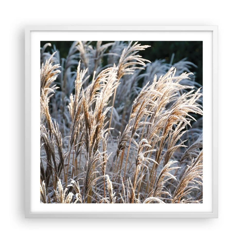Plagát v bielom ráme - Mrazom pokryté - 60x60 cm