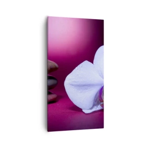 Obraz na plátne - Štúdia sviežosti vo fialovej - 55x100 cm