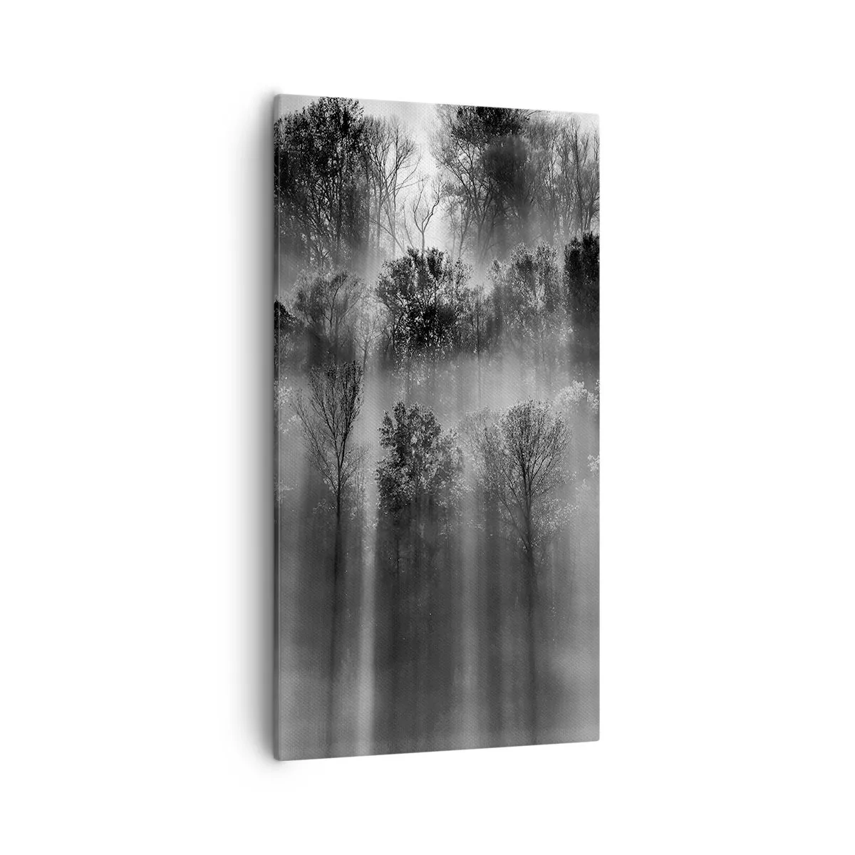 Obraz na plátne - V lúčoch svetla - 55x100 cm