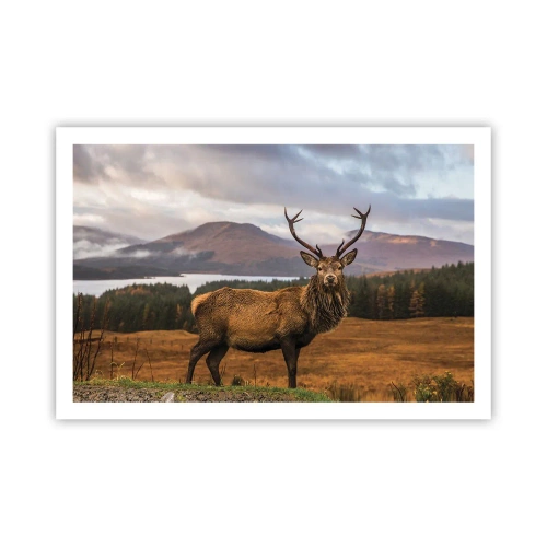 Plagát - Majestát prírody - 91x61 cm