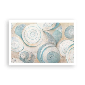 Plagát - Čo skrýva mušľa? - 91x61 cm