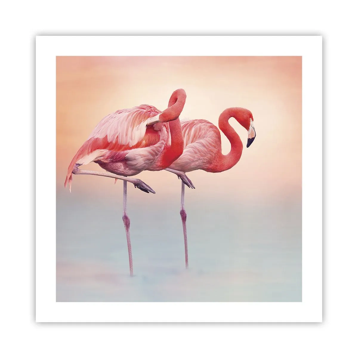 Plagát - Vo farbe zapadajúceho slnka - 50x50 cm