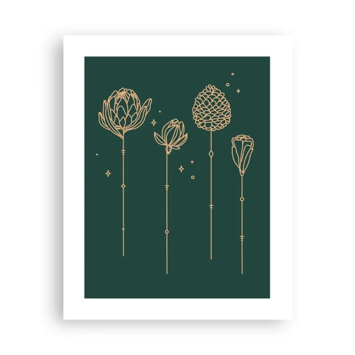 Plagát - Bylinky - 40x50 cm