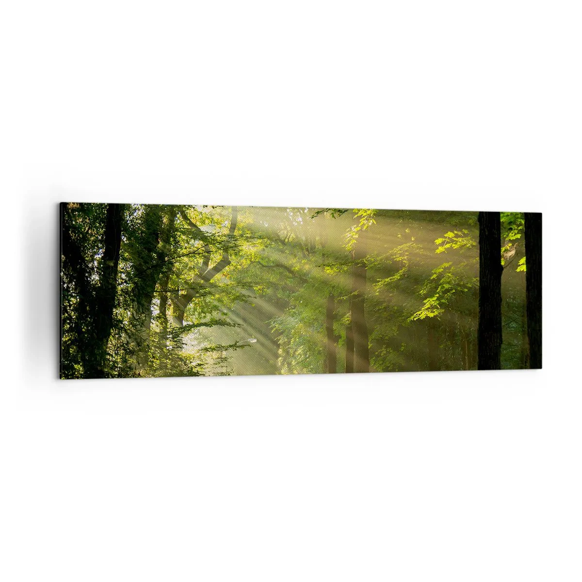 Obraz na plátne - Lesný okamih - 160x50 cm