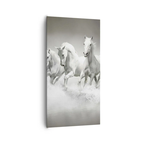 Obraz na plátne - Biele šialenstvo - 65x120 cm