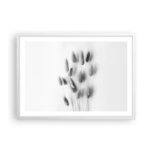 Plagát v bielom ráme - Našuchorená tráva - 70x50 cm