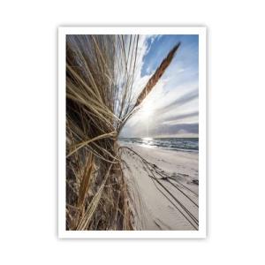 Plagát - Stretnutie živlov - 70x100 cm