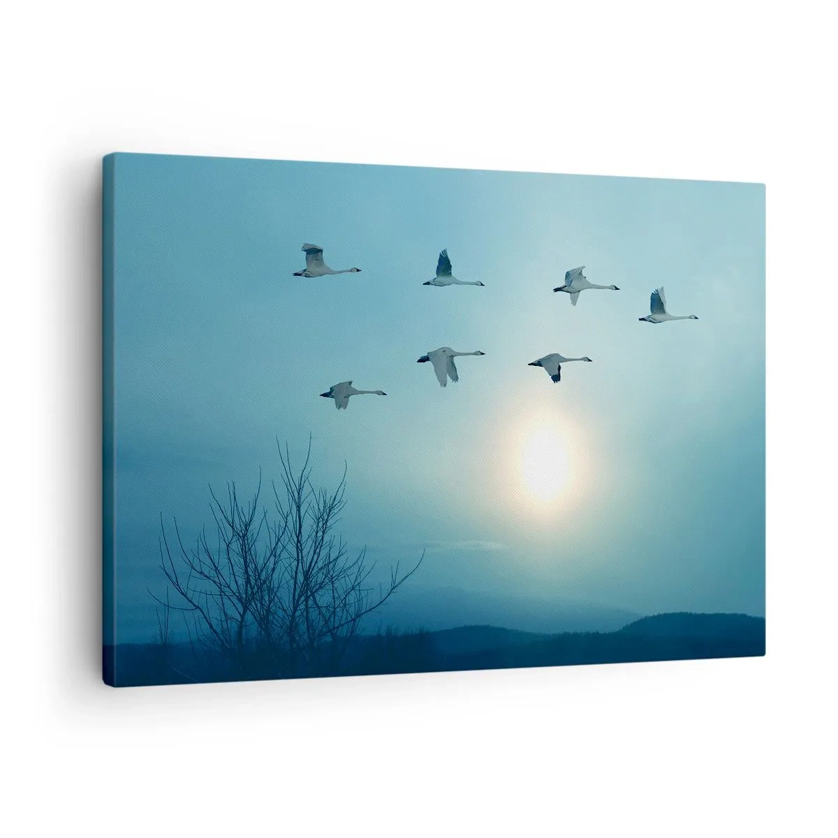 Obraz na plátne - Lietajúce labute ráno - 70x50cm - Zbohom leto na rok - Moderná nástenná dekorácia do obývacej izby a spálne ARTTOR