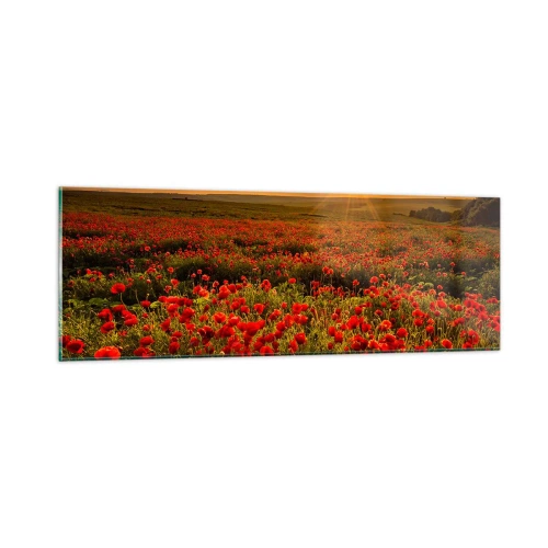 Obraz na skle - Medzi vlnami šumiacich lúk, medzi záplavou kvetov - 90x30 cm