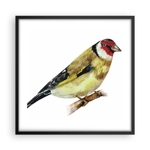 Plagát v čiernom ráme - Vtáčí portrét - 50x50 cm