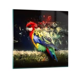 Obraz na skle - Posol žiary - 70x70 cm