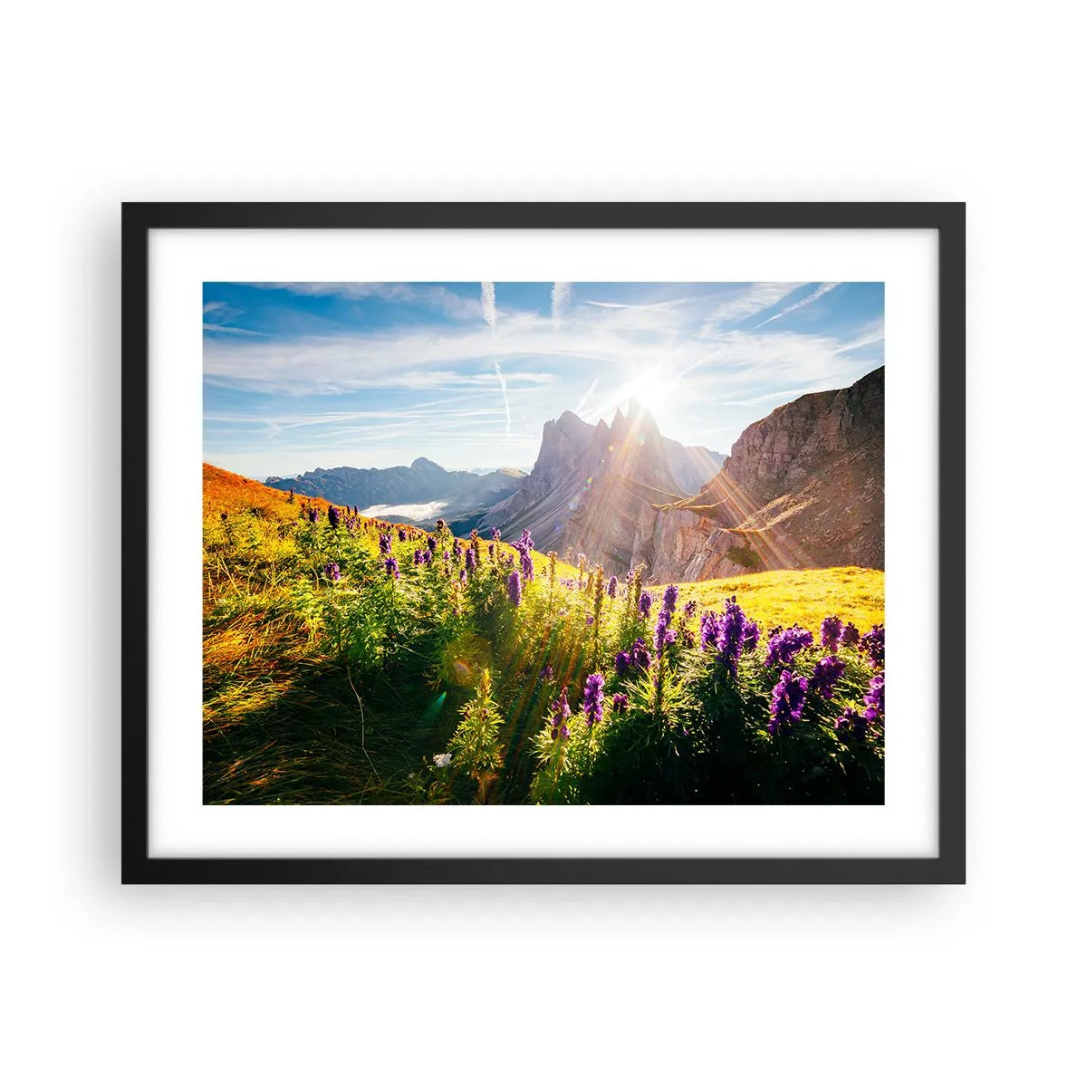 Plagát v čiernom ráme - Tajomný život bylín - 50x40 cm