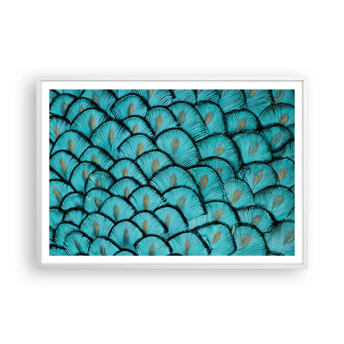 Plagát v bielom ráme - Veľká slávnosť peria - 100x70 cm