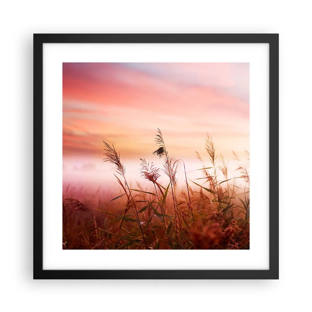 Plagát v čiernom ráme - Draci, púpavy a vietor - 40x40 cm