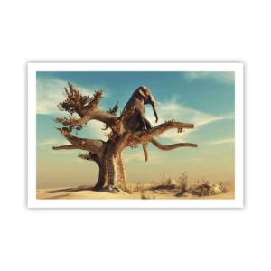 Plagát - Nový uhol pohľadu - 91x61 cm