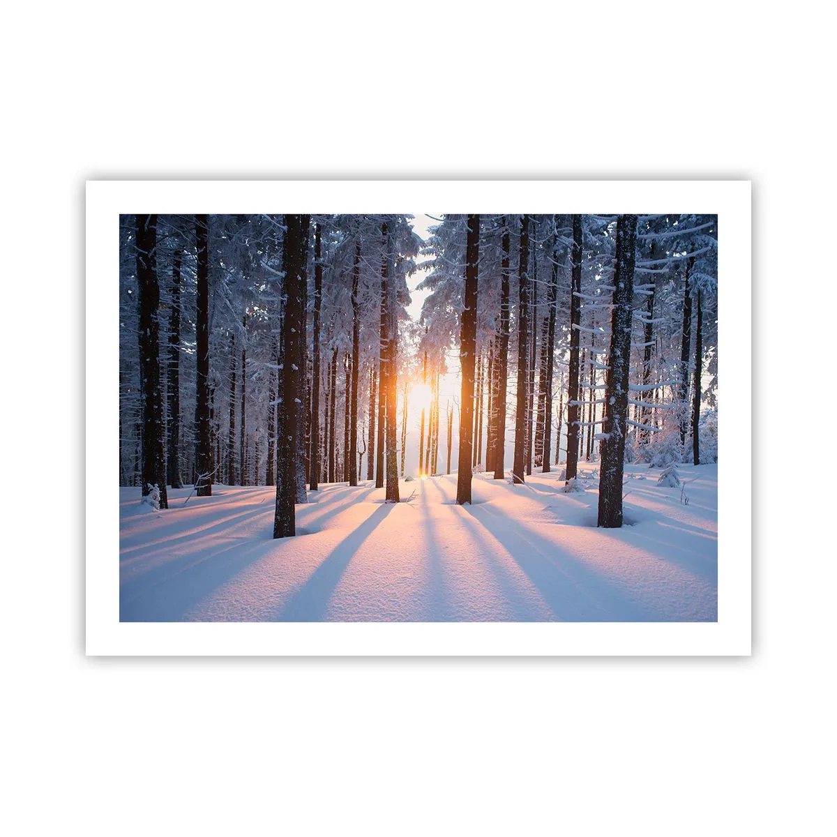 Plagát - Jasne čierne na bielom - 70x50 cm