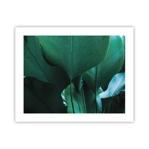 Plagát - Obrátené k svetlu - 50x40 cm