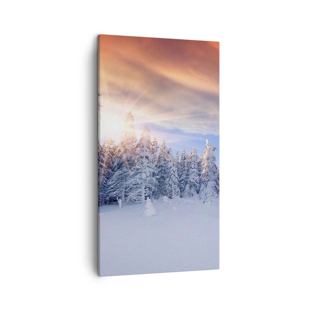 Obraz na plátne - Snežné predstavenie prírody - 45x80 cm