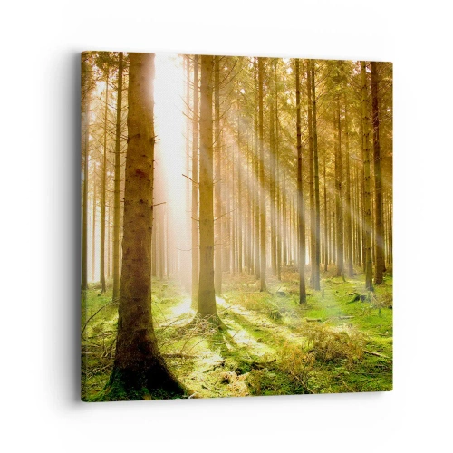 Obraz na plátne - Čoskoro sa objavia elfovia - 40x40 cm