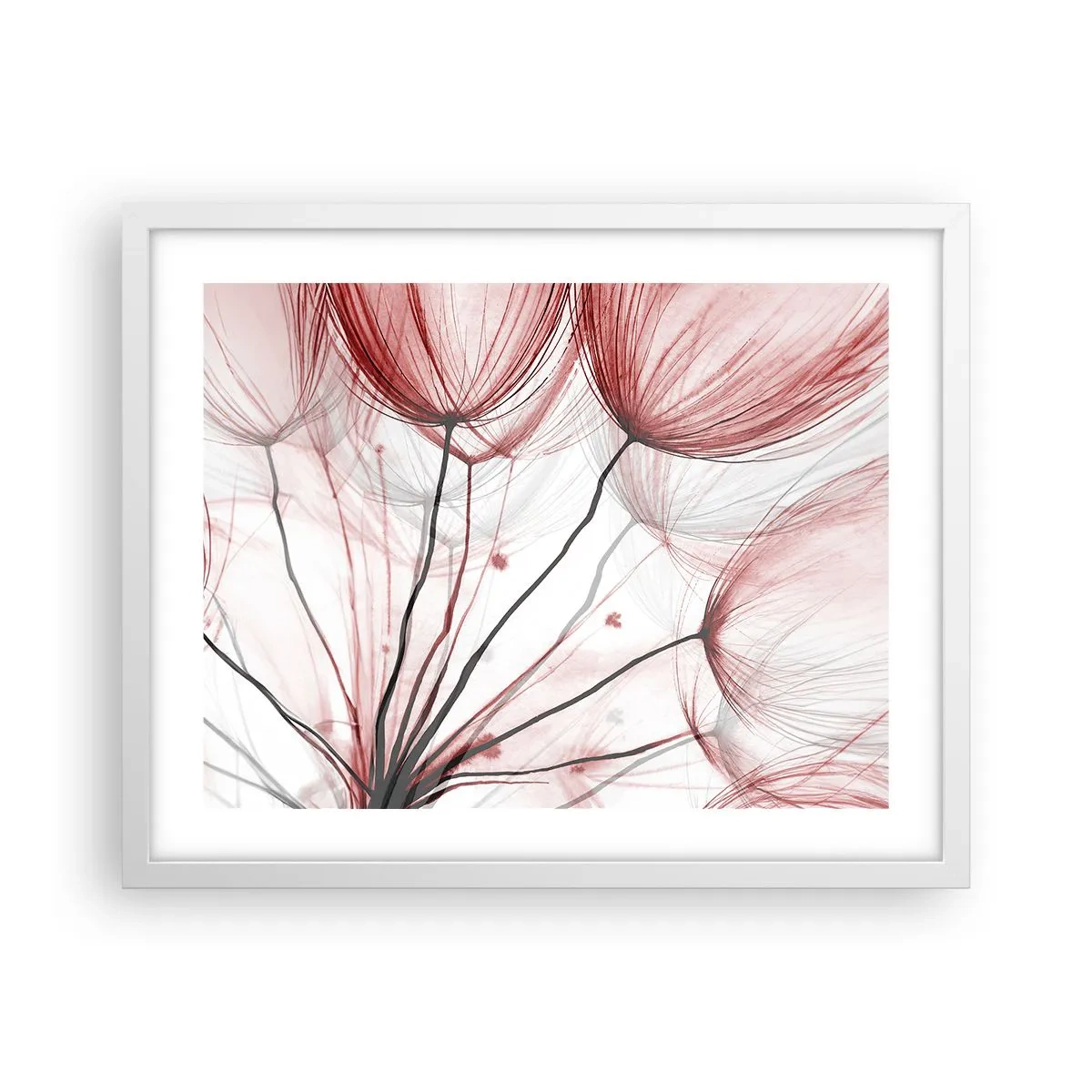 Plagát v bielom ráme - Pred odletom - 50x40 cm