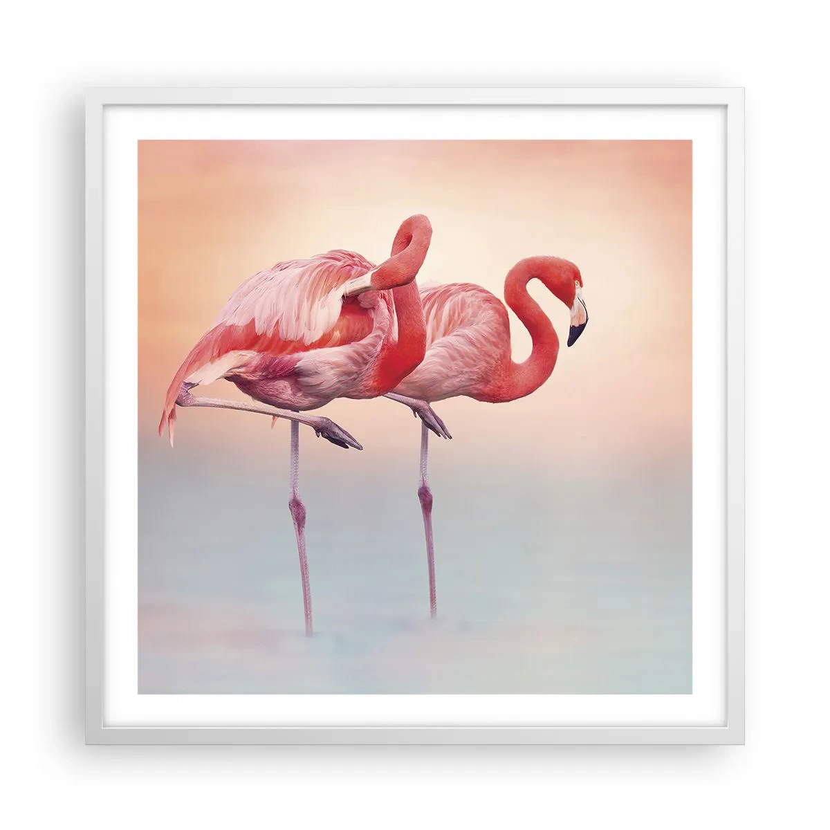 Plagát v bielom ráme - Vo farbe zapadajúceho slnka - 60x60 cm