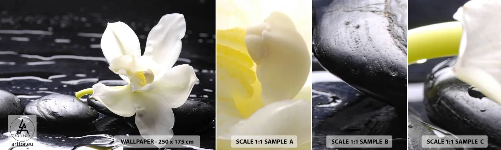 Vzorka Fototapeta Standard Eco - Štúdia v čiernej a bielej - Kvety, Kamene, Orchidea - 100x30 cm