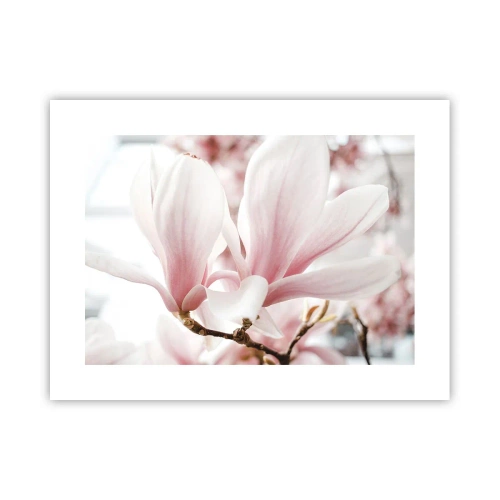 Plagát - Nesmiernosť nežnosti - 40x30 cm