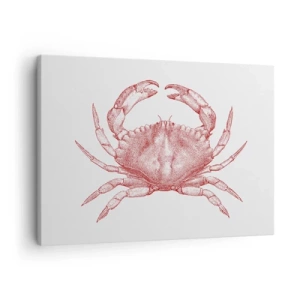 Obraz na plátne - Kresba kraba v červenom odtieni - 70x50cm - Krab nad kraby - Moderná nástenná dekorácia do obývacej izby a spálne ARTTOR