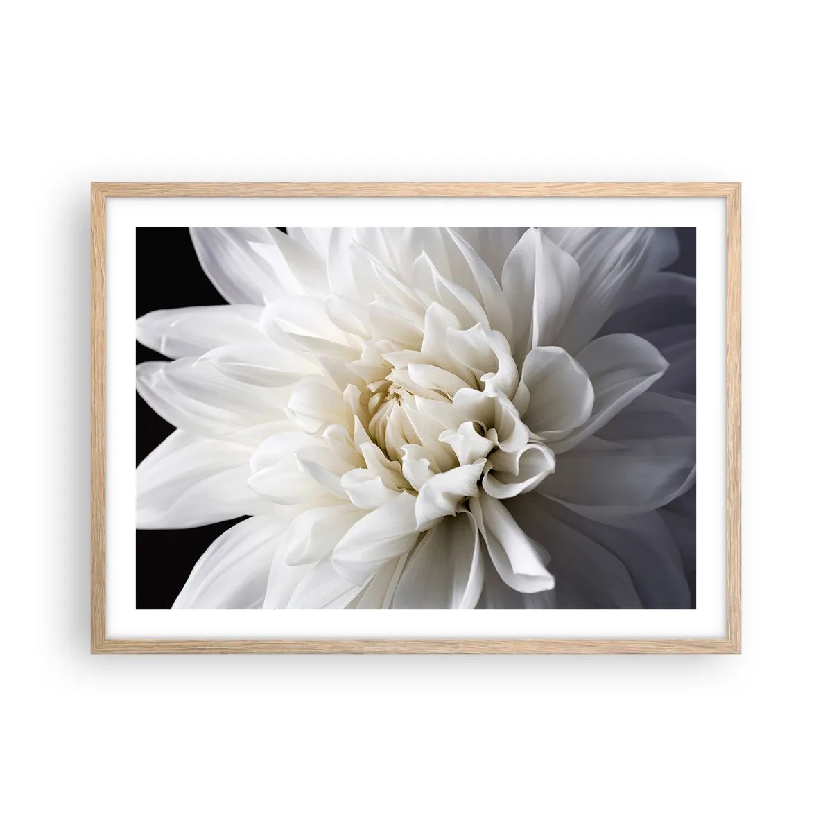 Plagát v ráme zo svetlého duba - Ráno s nevestou - 70x50 cm