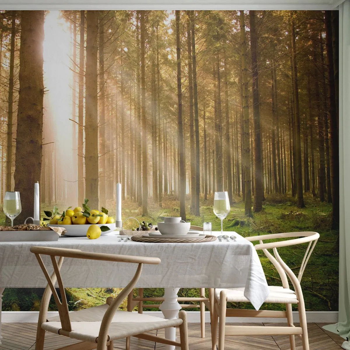 Fototapeta Premium Sand - Čoskoro sa objavia elfovia - les, Lúče slnka, Príroda - 400x280 cm