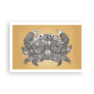 Plagát - Príbehy pána Kraba - 91x61 cm